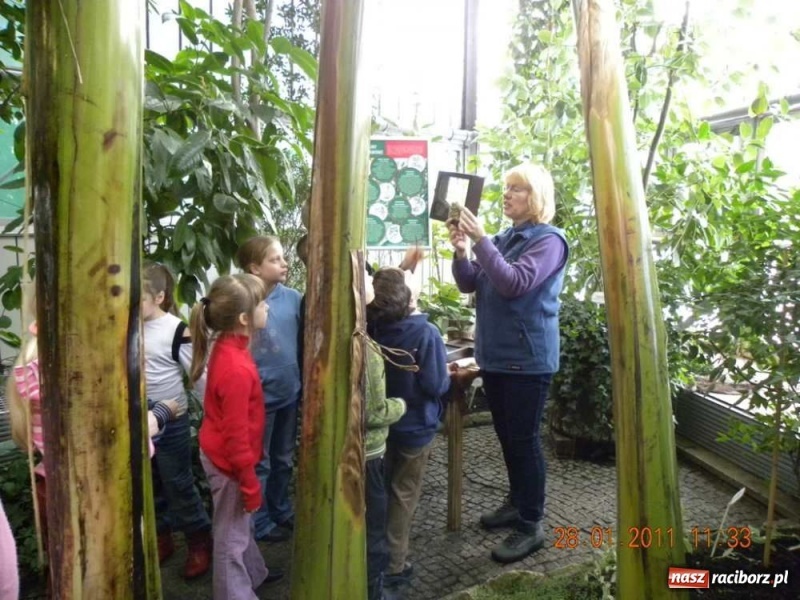 Zdjęcie w galerii na portalu naszraciborz.pl: Na koniec żywa lekcja biologii wiadomości z regionu