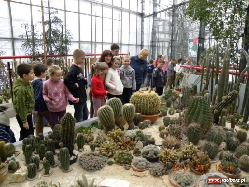 Zdjęcie w galerii na portalu naszraciborz.pl: Na koniec żywa lekcja biologii wiadomości z regionu