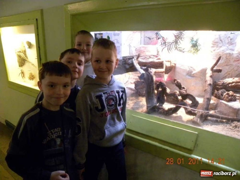 Zdjęcie w galerii na portalu naszraciborz.pl: Na koniec żywa lekcja biologii wiadomości z regionu