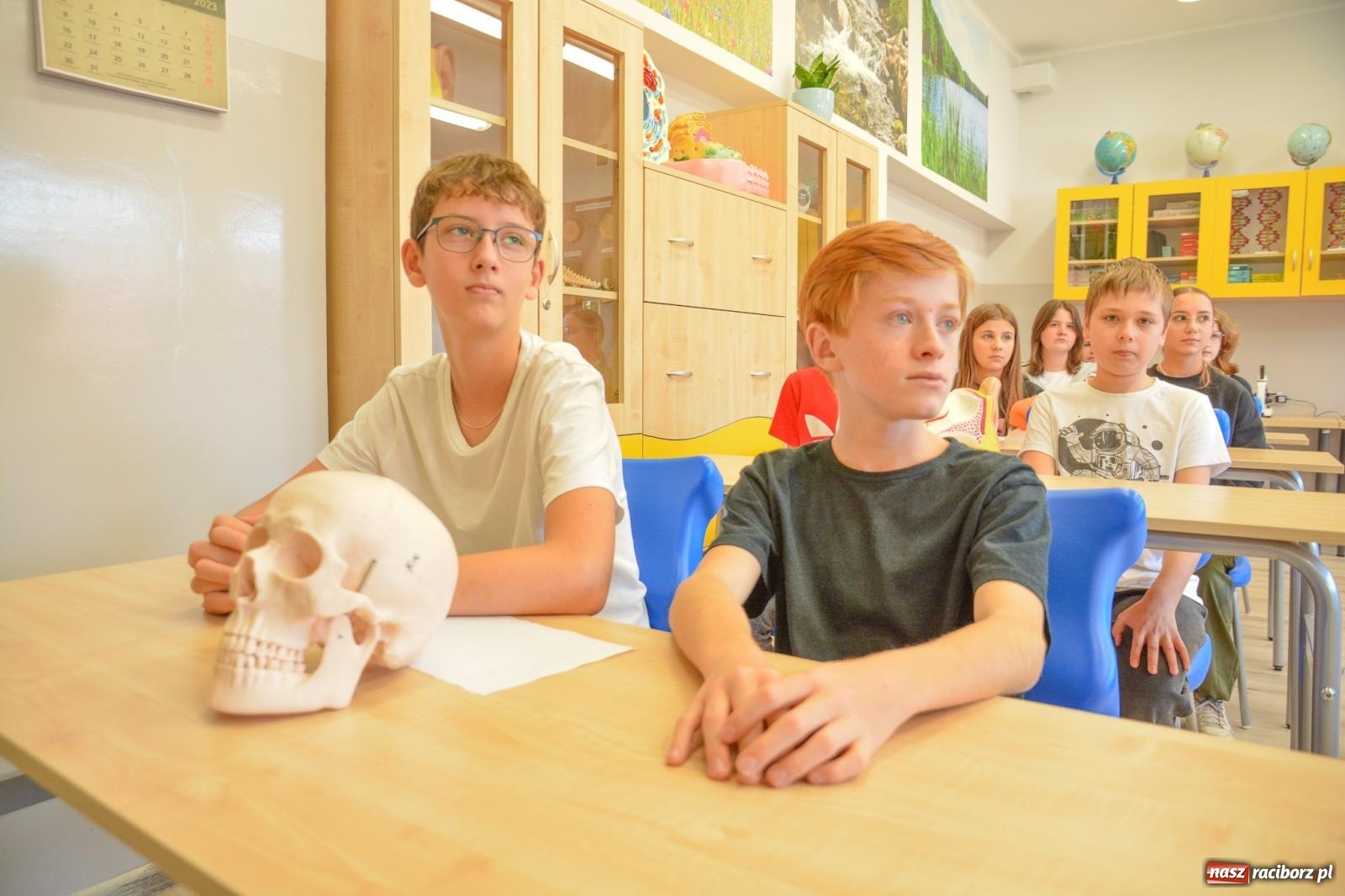 Zdjęcie w galerii na portalu naszraciborz.pl: Ekorycerze – obrońcy przyrody. W SP 18 powstała zielona pracownia wiadomości z regionu