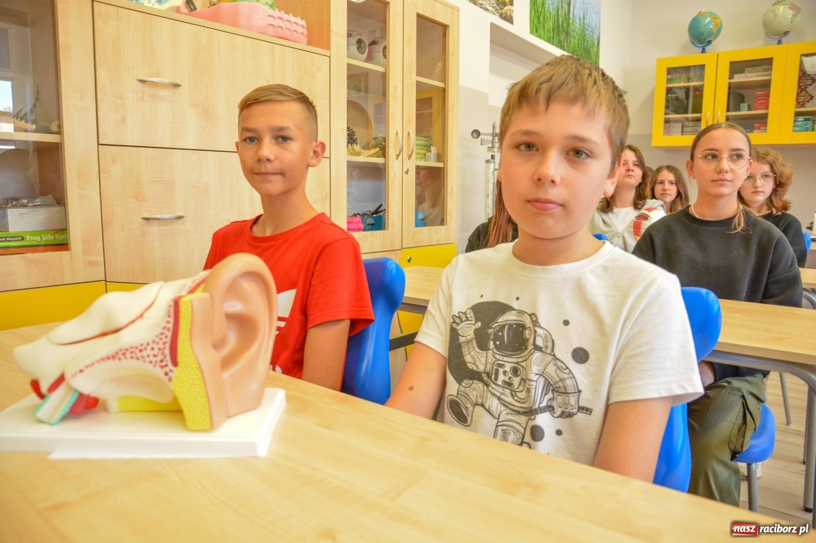 Zdjęcie w galerii na portalu naszraciborz.pl: Ekorycerze – obrońcy przyrody. W SP 18 powstała zielona pracownia wiadomości z regionu