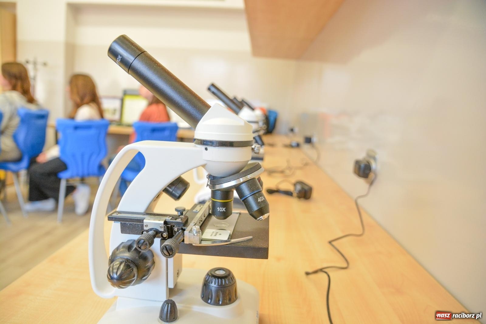 Zdjęcie w galerii na portalu naszraciborz.pl: Ekorycerze – obrońcy przyrody. W SP 18 powstała zielona pracownia wiadomości z regionu