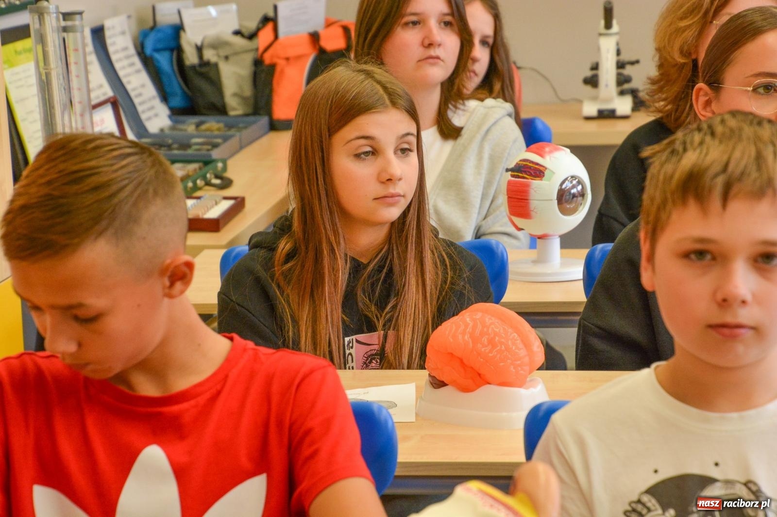 Zdjęcie w galerii na portalu naszraciborz.pl: Ekorycerze – obrońcy przyrody. W SP 18 powstała zielona pracownia wiadomości z regionu