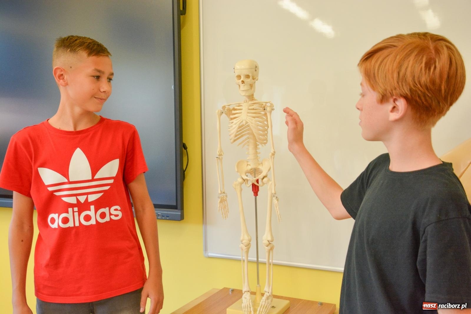 Zdjęcie w galerii na portalu naszraciborz.pl: Ekorycerze – obrońcy przyrody. W SP 18 powstała zielona pracownia wiadomości z regionu