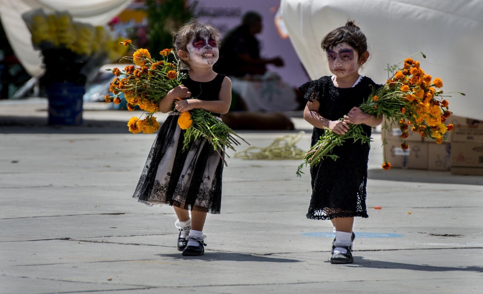 Zdjęcie w galerii na portalu naszraciborz.pl: Od Doliny Biebrzy przez Amerykę po Wyspę Wielkanocną – ostatnie wolne miejsca na blok szkolny w ramach RFP WIATRAKI wiadomości z regionu