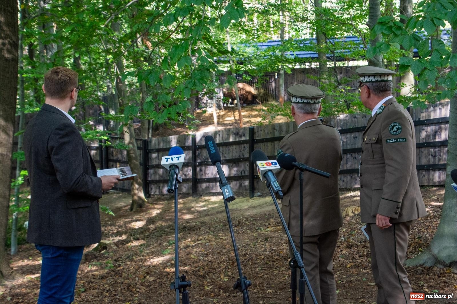 Zdjęcie w galerii na portalu naszraciborz.pl: Co się dzieje z żubrami z Brzezia? Zagroda wciąż nieczynna wiadomości z regionu