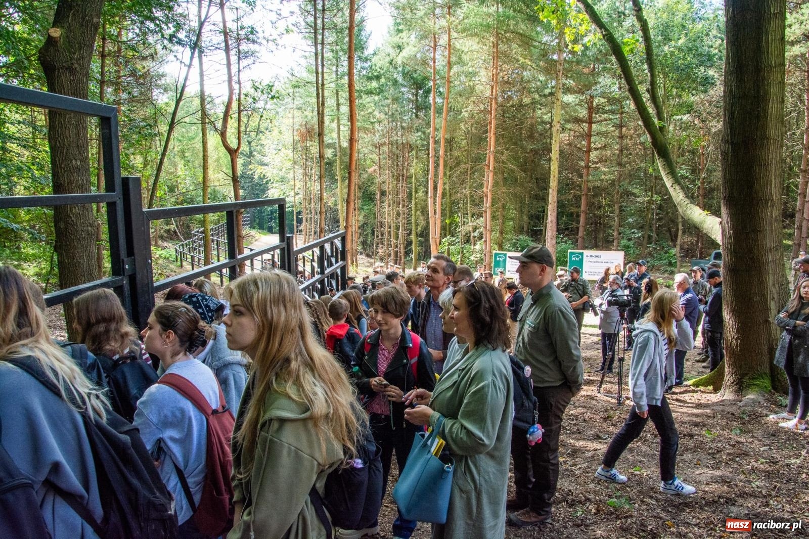Zdjęcie w galerii na portalu naszraciborz.pl: Co się dzieje z żubrami z Brzezia? Zagroda wciąż nieczynna wiadomości z regionu