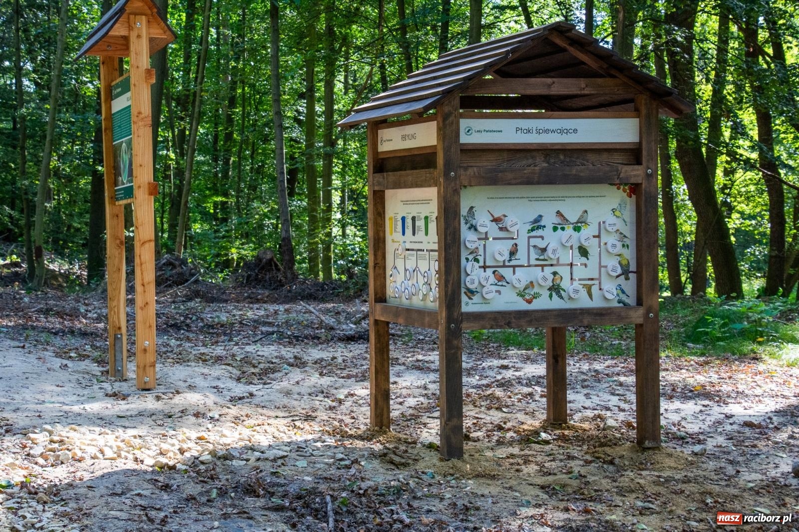 Zdjęcie w galerii na portalu naszraciborz.pl: Co się dzieje z żubrami z Brzezia? Zagroda wciąż nieczynna wiadomości z regionu
