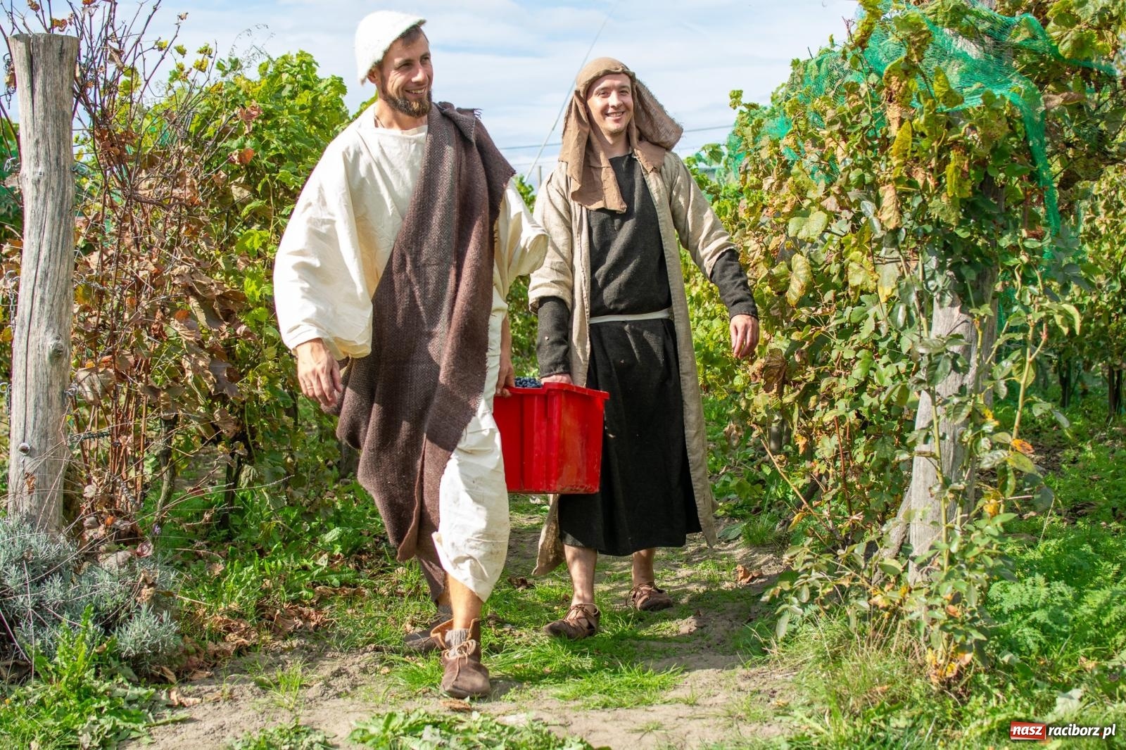 Zdjęcie w galerii na portalu naszraciborz.pl: W Krowiarkach jak w Ziemi Świętej. Winobranie 2023 [FOTO i WIDEO] wiadomości z regionu