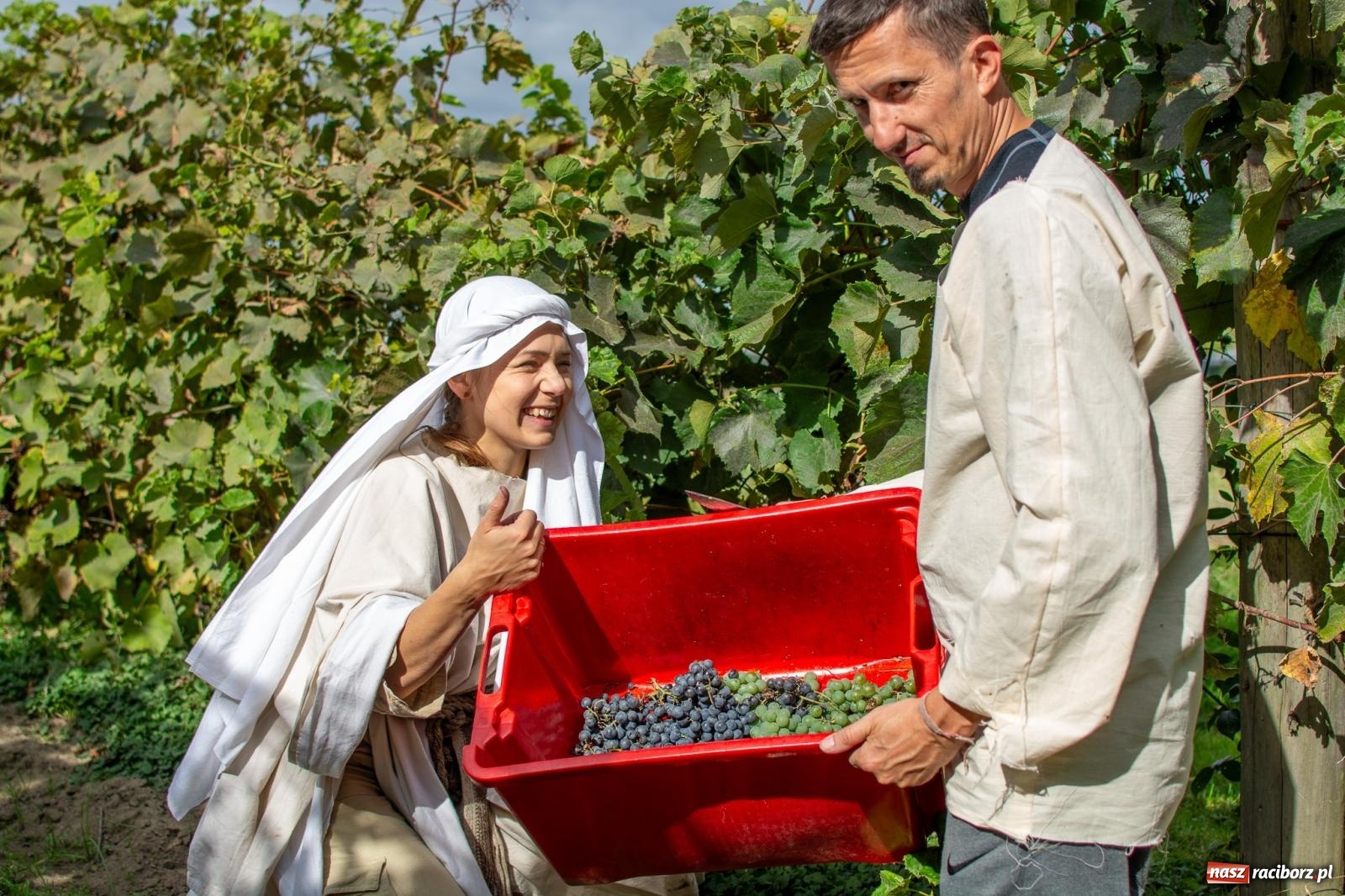 Zdjęcie w galerii na portalu naszraciborz.pl: W Krowiarkach jak w Ziemi Świętej. Winobranie 2023 [FOTO i WIDEO] wiadomości z regionu