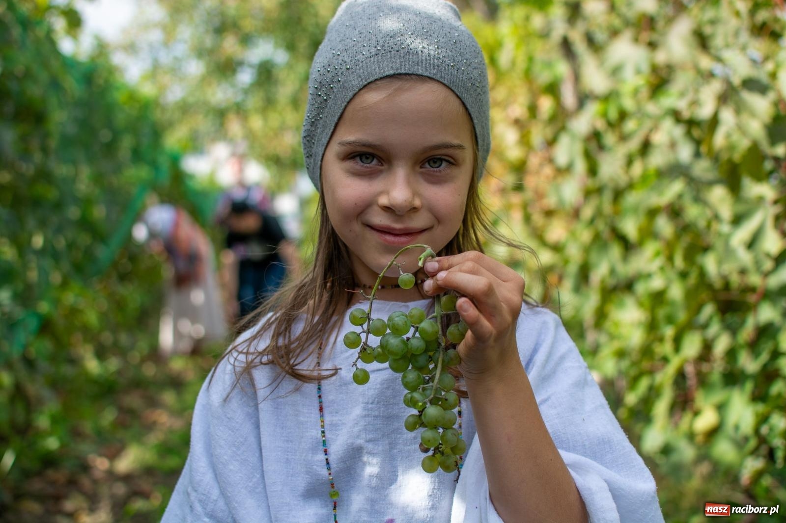 Zdjęcie w galerii na portalu naszraciborz.pl: W Krowiarkach jak w Ziemi Świętej. Winobranie 2023 [FOTO i WIDEO] wiadomości z regionu