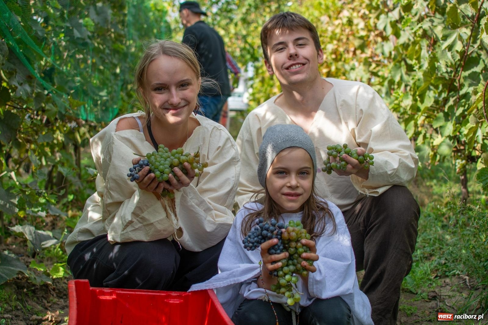 Zdjęcie w galerii na portalu naszraciborz.pl: W Krowiarkach jak w Ziemi Świętej. Winobranie 2023 [FOTO i WIDEO] wiadomości z regionu