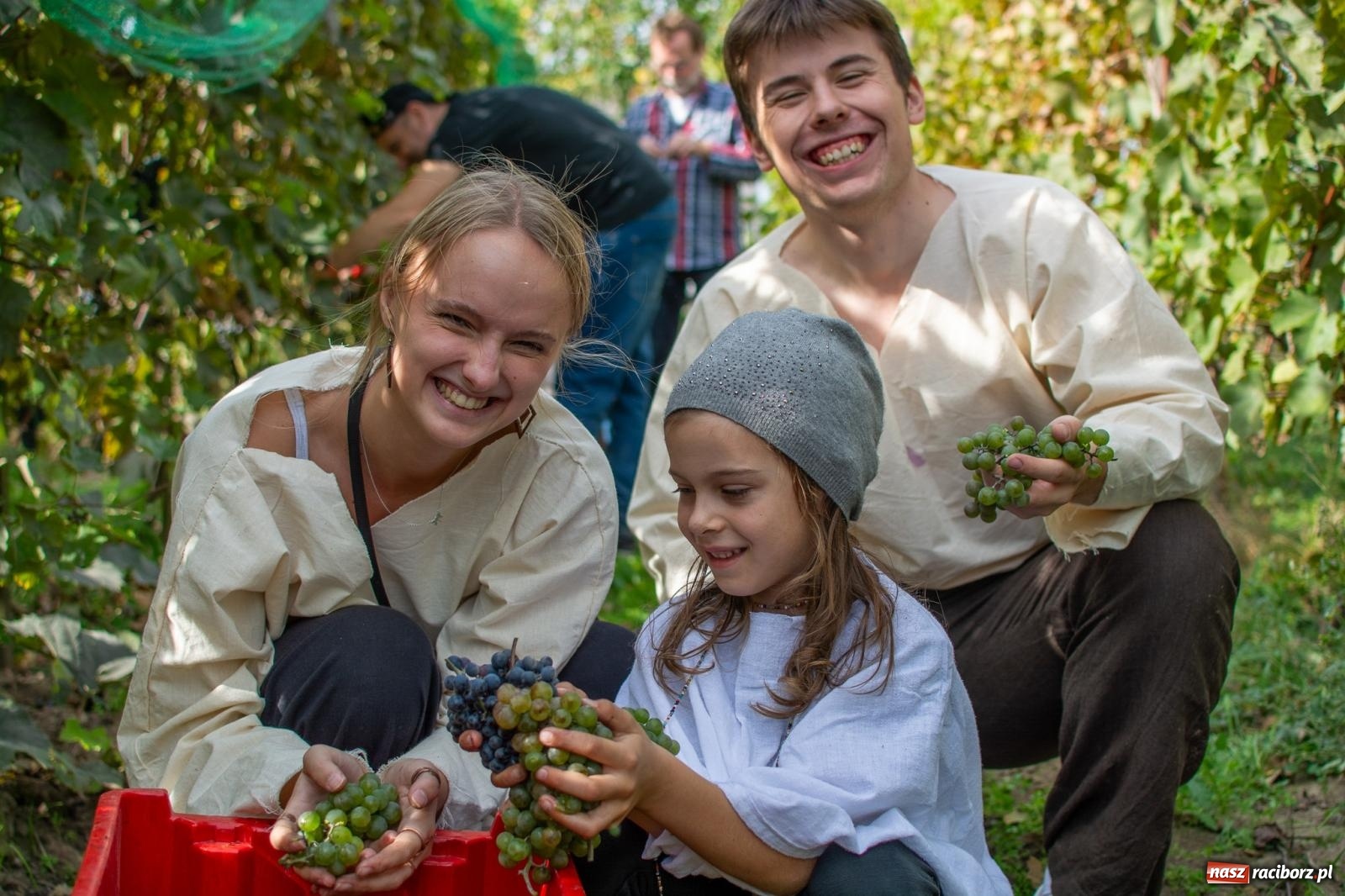 Zdjęcie w galerii na portalu naszraciborz.pl: W Krowiarkach jak w Ziemi Świętej. Winobranie 2023 [FOTO i WIDEO] wiadomości z regionu