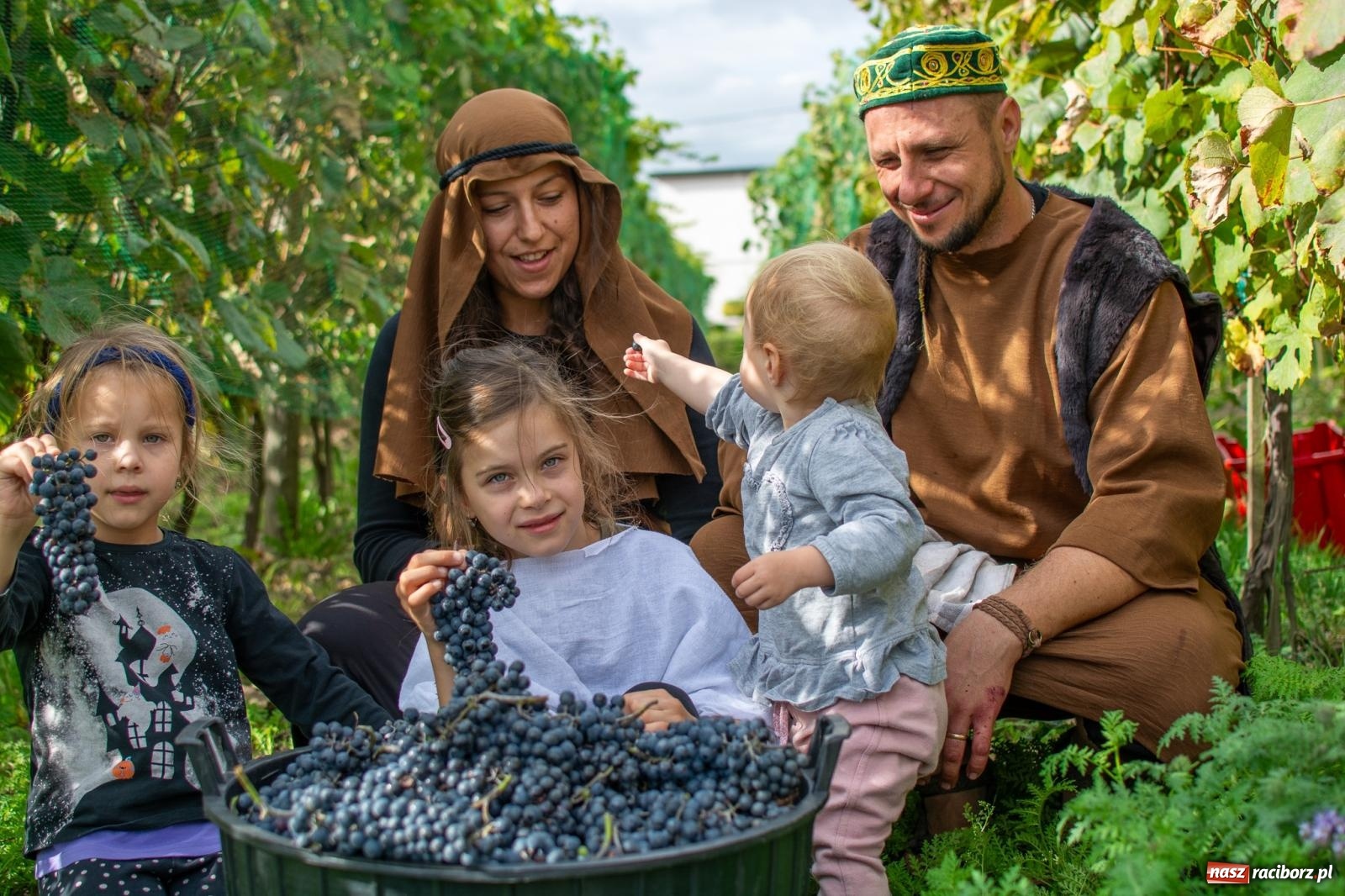Zdjęcie w galerii na portalu naszraciborz.pl: W Krowiarkach jak w Ziemi Świętej. Winobranie 2023 [FOTO i WIDEO] wiadomości z regionu