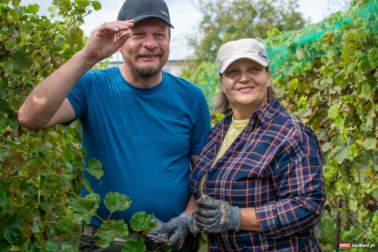 Zdjęcie w galerii na portalu naszraciborz.pl: W Krowiarkach jak w Ziemi Świętej. Winobranie 2023 [FOTO i WIDEO] wiadomości z regionu