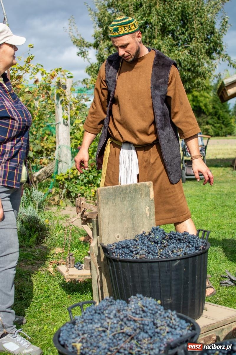 Zdjęcie w galerii na portalu naszraciborz.pl: W Krowiarkach jak w Ziemi Świętej. Winobranie 2023 [FOTO i WIDEO] wiadomości z regionu