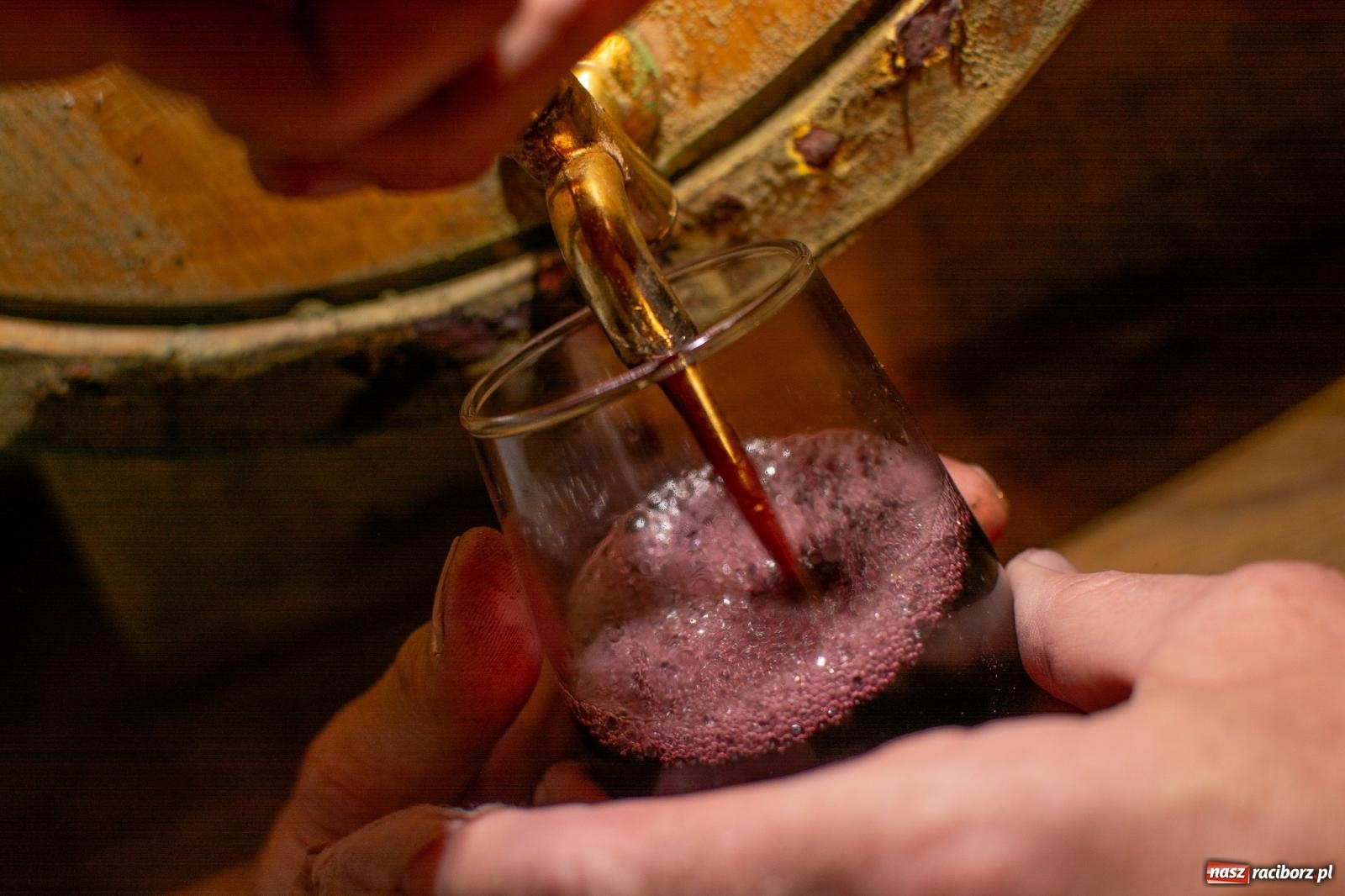 Zdjęcie w galerii na portalu naszraciborz.pl: W Krowiarkach jak w Ziemi Świętej. Winobranie 2023 [FOTO i WIDEO] wiadomości z regionu