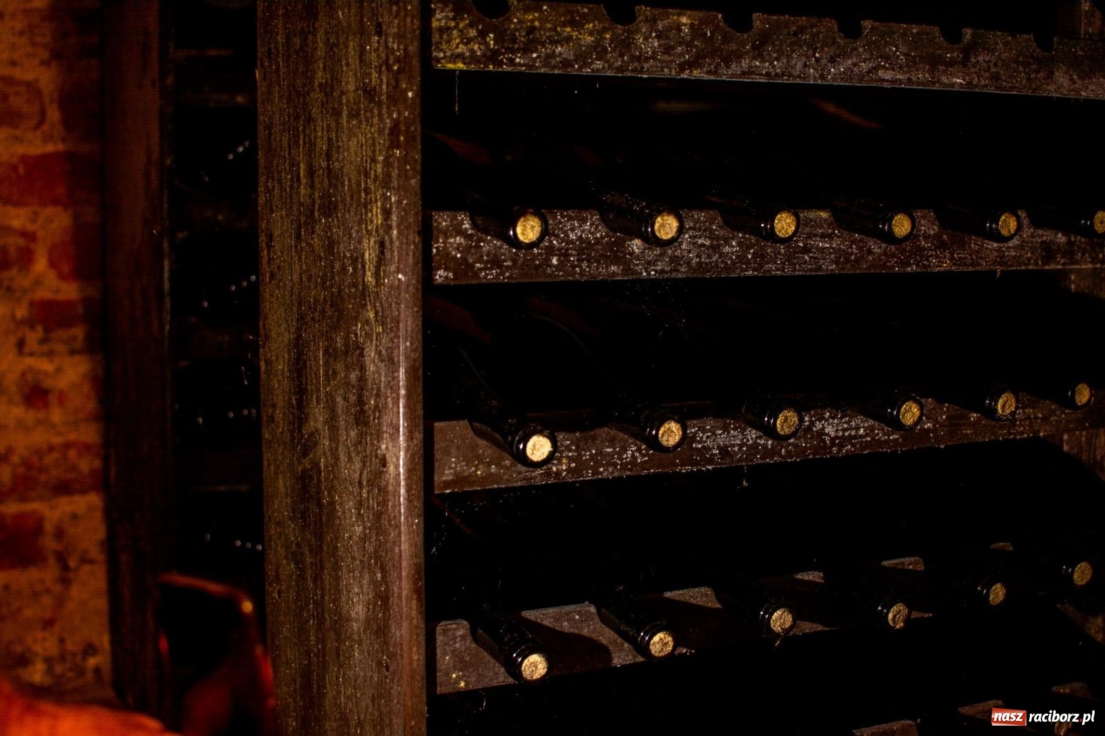 Zdjęcie w galerii na portalu naszraciborz.pl: W Krowiarkach jak w Ziemi Świętej. Winobranie 2023 [FOTO i WIDEO] wiadomości z regionu