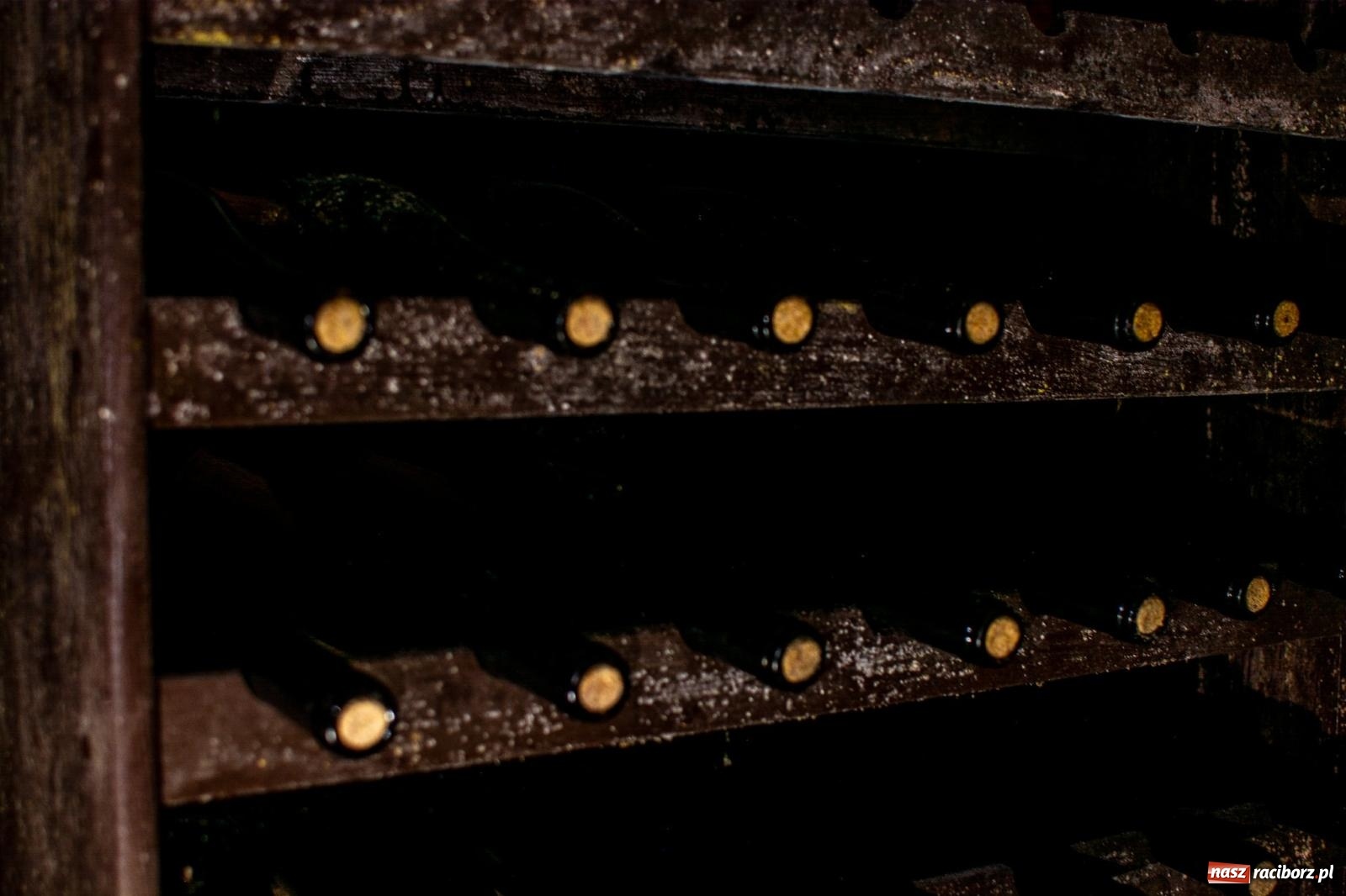 Zdjęcie w galerii na portalu naszraciborz.pl: W Krowiarkach jak w Ziemi Świętej. Winobranie 2023 [FOTO i WIDEO] wiadomości z regionu