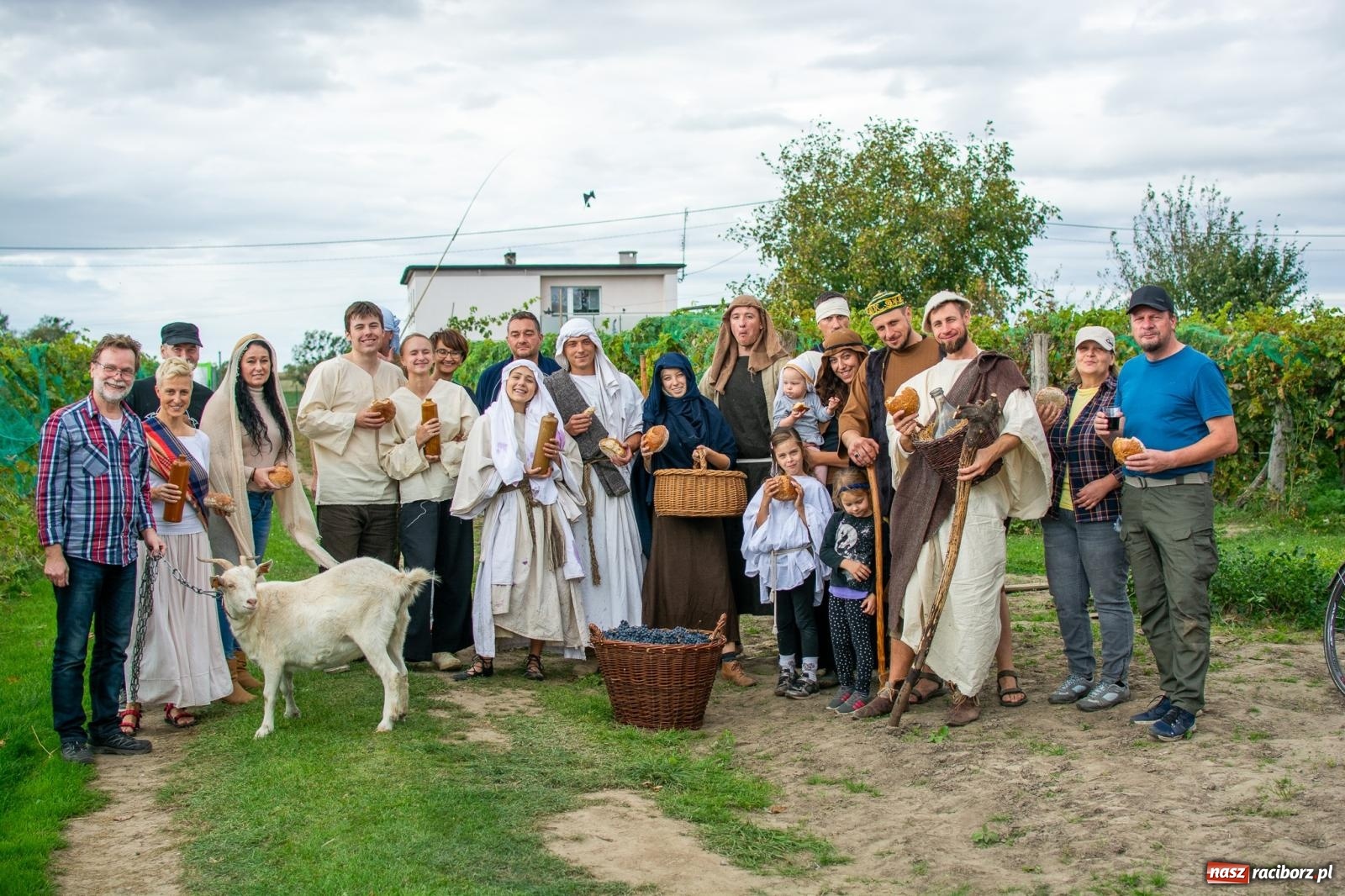 Zdjęcie w galerii na portalu naszraciborz.pl: W Krowiarkach jak w Ziemi Świętej. Winobranie 2023 [FOTO i WIDEO] wiadomości z regionu