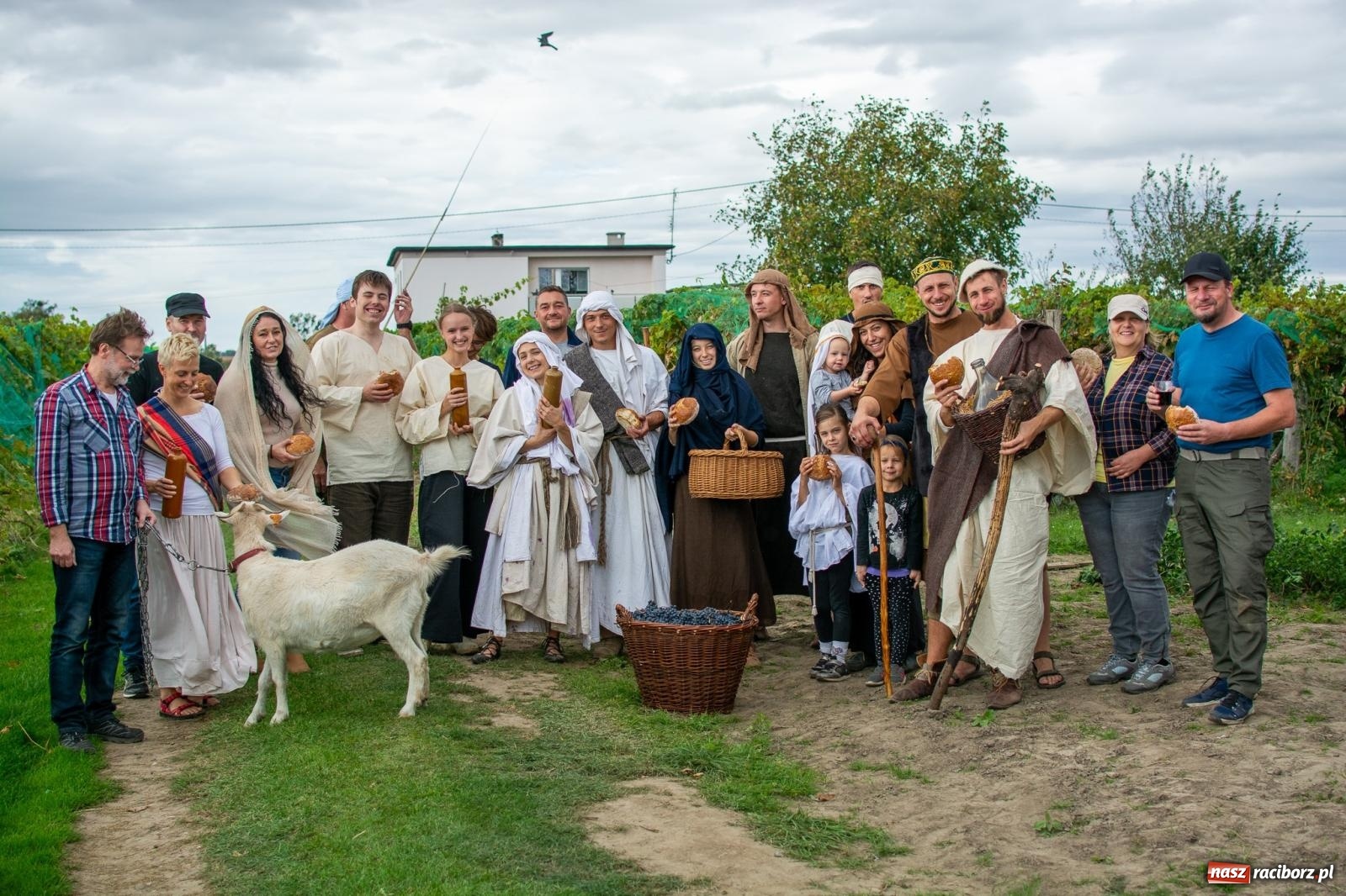 Zdjęcie w galerii na portalu naszraciborz.pl: W Krowiarkach jak w Ziemi Świętej. Winobranie 2023 [FOTO i WIDEO] wiadomości z regionu