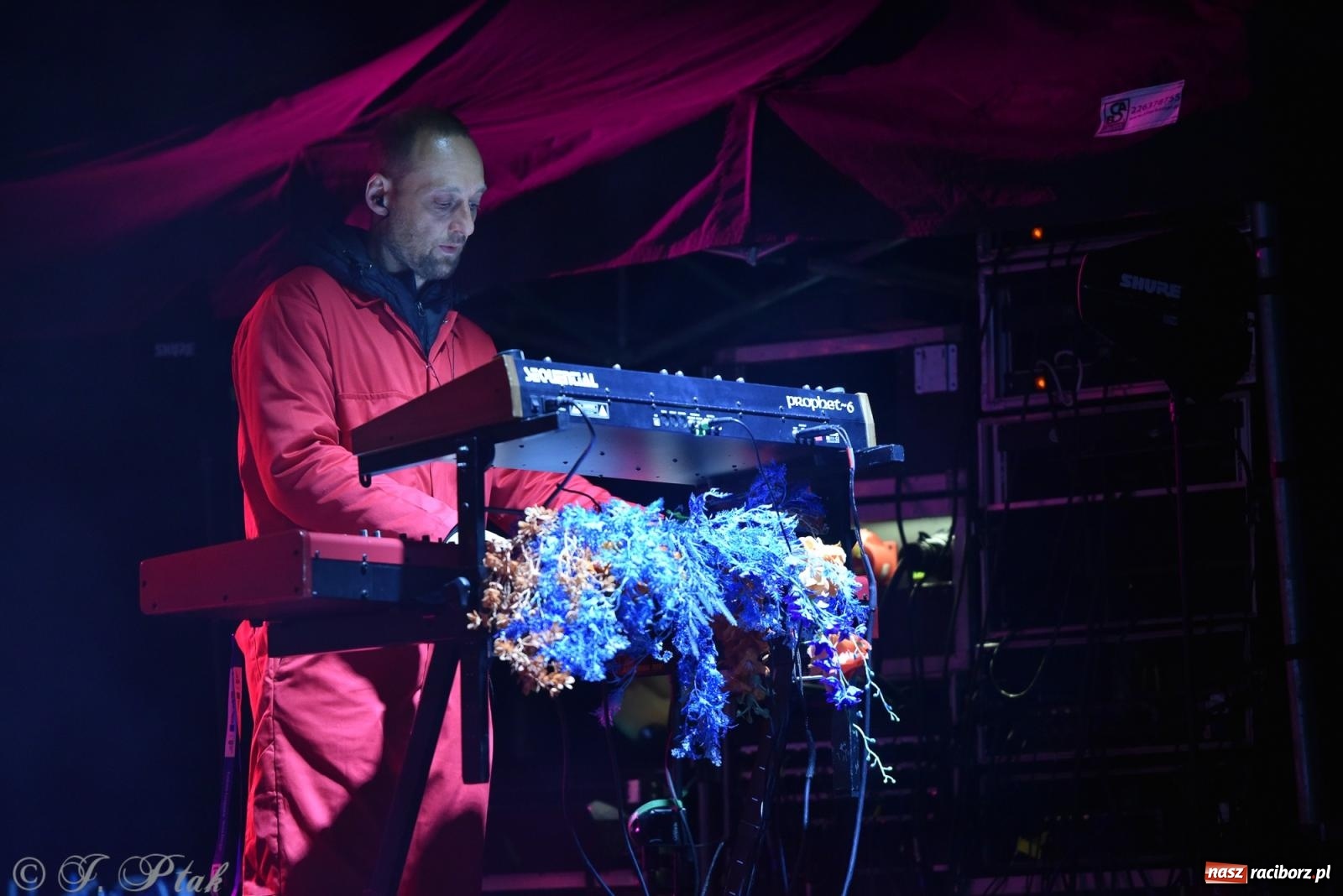 Zdjęcie w galerii na portalu naszraciborz.pl: Natalia Szroeder - koncert na zamku w Raciborzu [FOTO i WIDEO] wiadomości z regionu