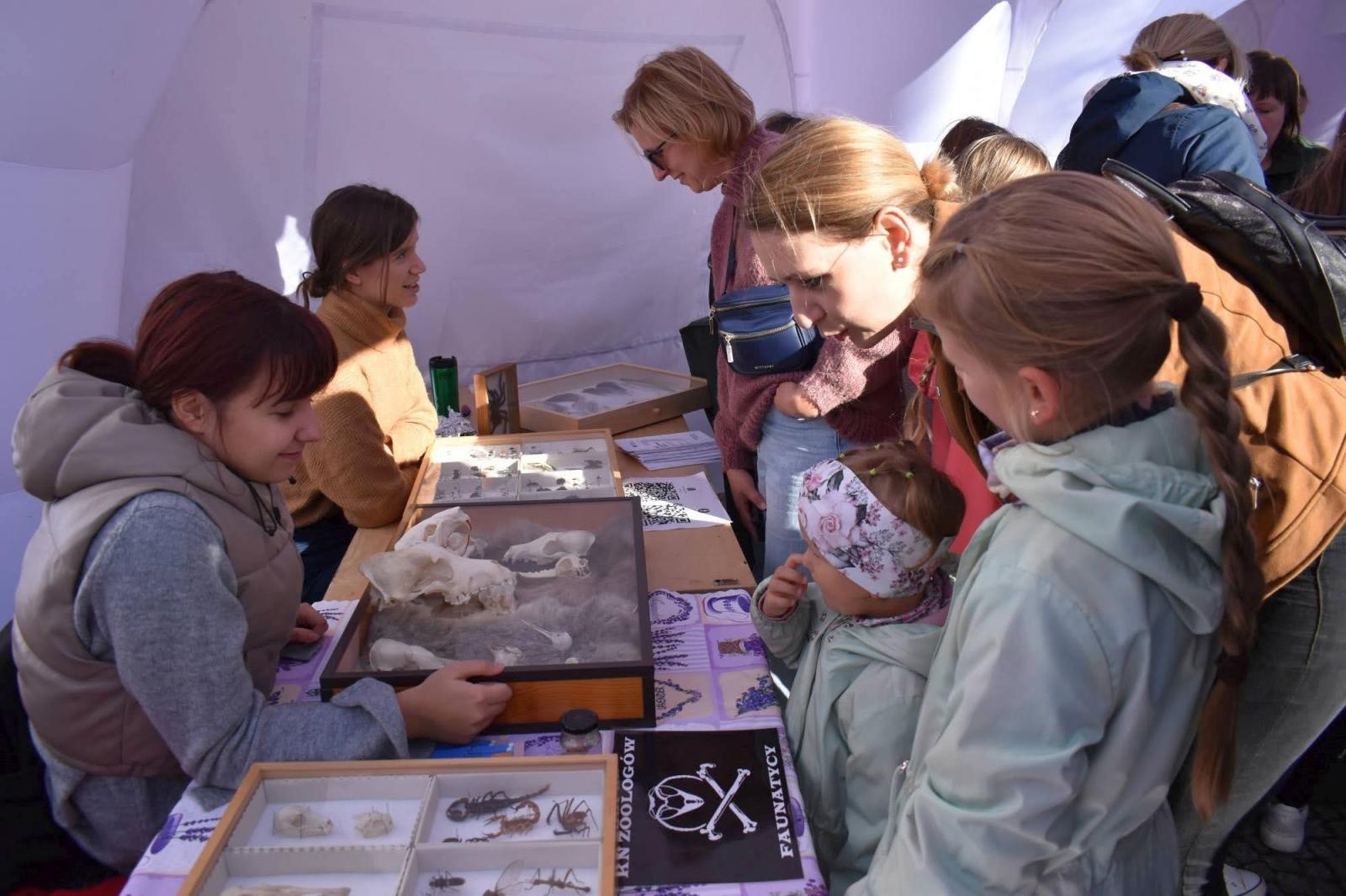 Zdjęcie w galerii na portalu naszraciborz.pl: Fundusze Europejskie. Nowa Energia! Tak było na pikniku na zamku wiadomości z regionu
