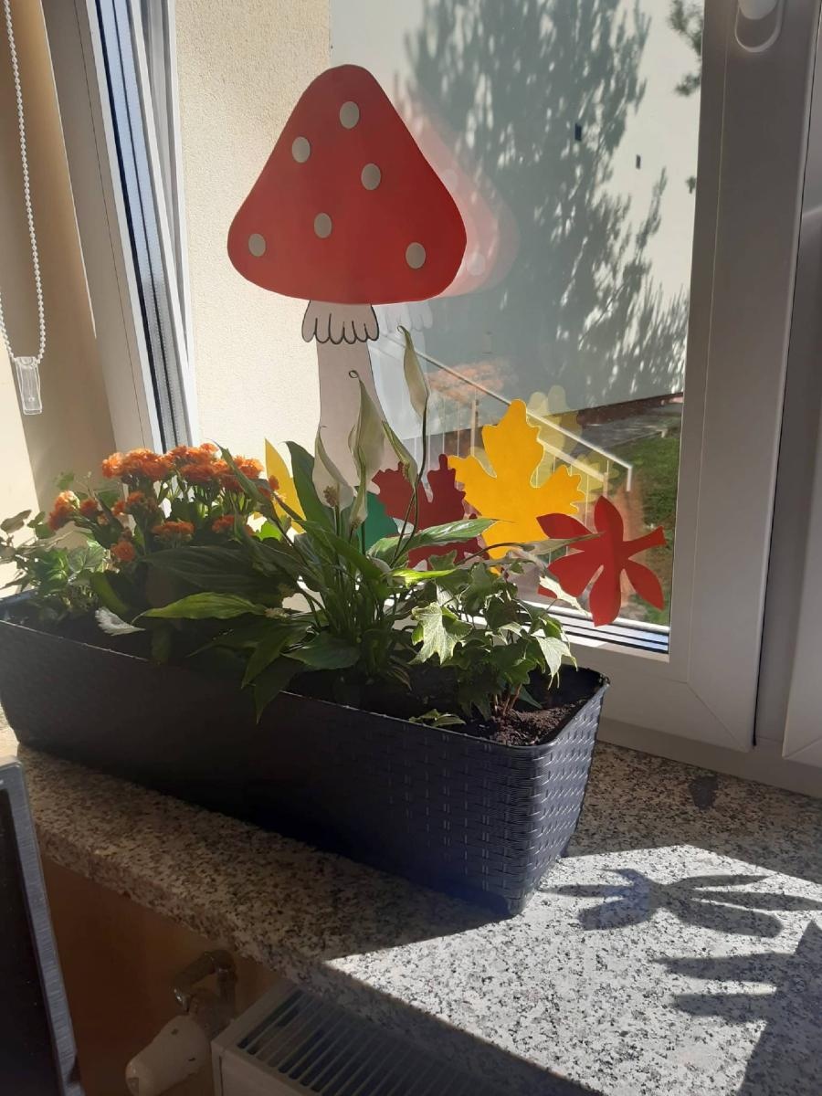 Zdjęcie w galerii na portalu naszraciborz.pl: Ziemia, powietrze, woda. Projekt w Bieńkowicach wiadomości z regionu