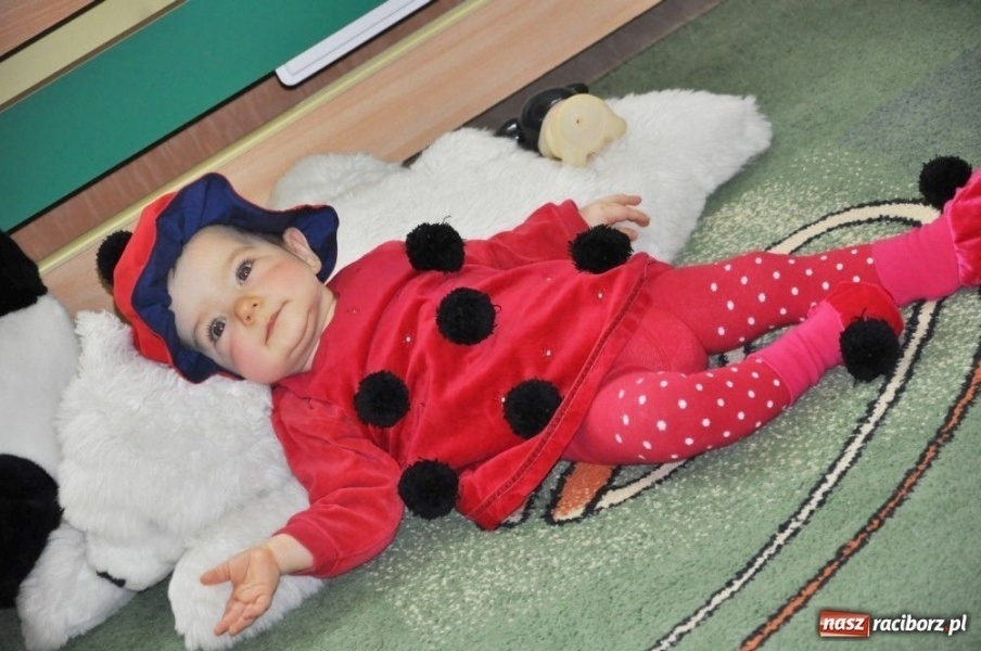 Zdjęcie w galerii na portalu naszraciborz.pl: Balują od najmłodszego... wiadomości z regionu