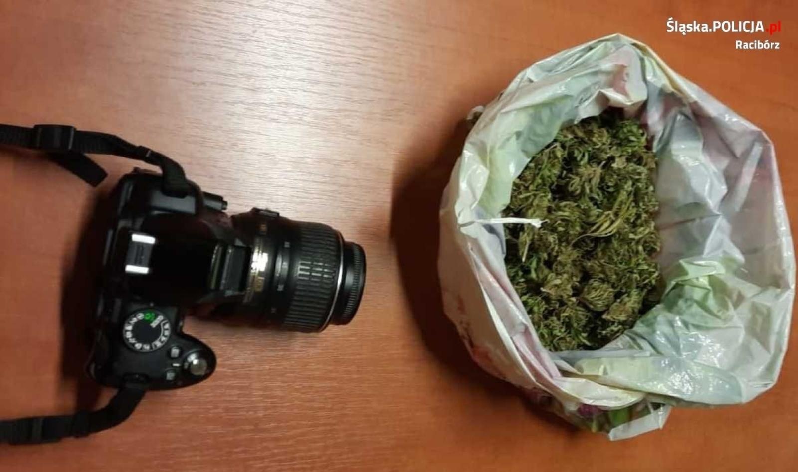 Zdjęcie w galerii na portalu naszraciborz.pl: Narkotykowi przemytnicy w rękach policji wiadomości z regionu