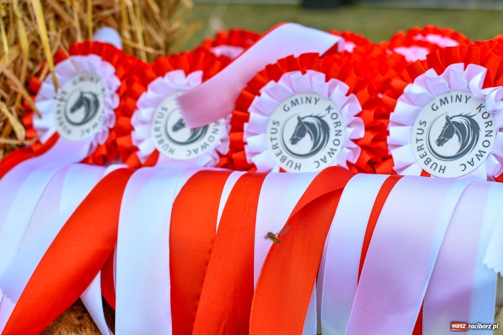 Zdjęcie w galerii na portalu naszraciborz.pl: Hubertus w Kornowacu. Parada po gminie i pogoń za lisem [FOTO i WIDEO] wiadomości z regionu