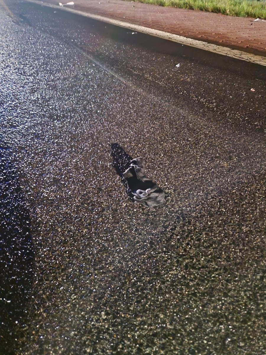 Zdjęcie w galerii na portalu naszraciborz.pl: Tragiczny wypadek na DK45 Krzyżanowice-Roszków. Nie żyje 19-latek z Kuźni Raciborskiej wiadomości z regionu