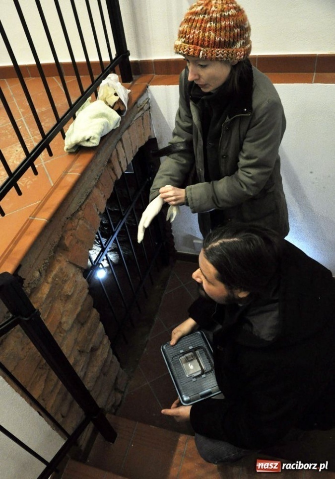 Zdjęcie w galerii na portalu naszraciborz.pl: Mroczek z zamku już bezpieczny wiadomości z regionu