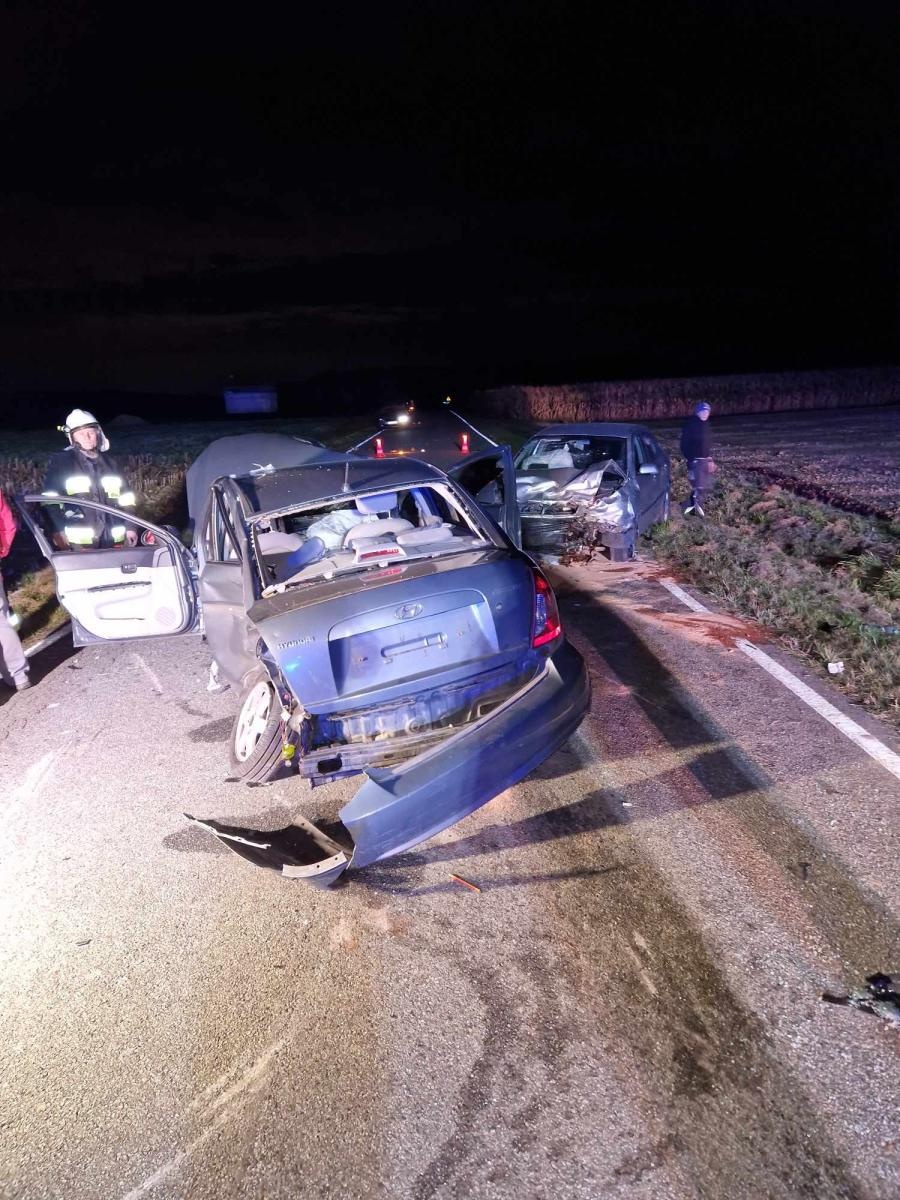 Zdjęcie w galerii na portalu naszraciborz.pl: Raport 998. Ostatni patrol rzeki Odry. Poważny wypadek w Owsiszczach wiadomości z regionu