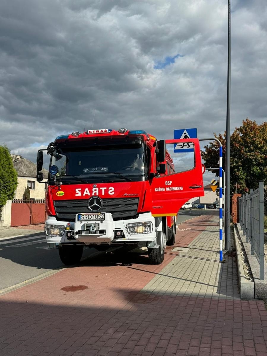 Zdjęcie w galerii na portalu naszraciborz.pl: Raport 998. Egzotyczny pająk w samochodzie kuriera wiadomości z regionu