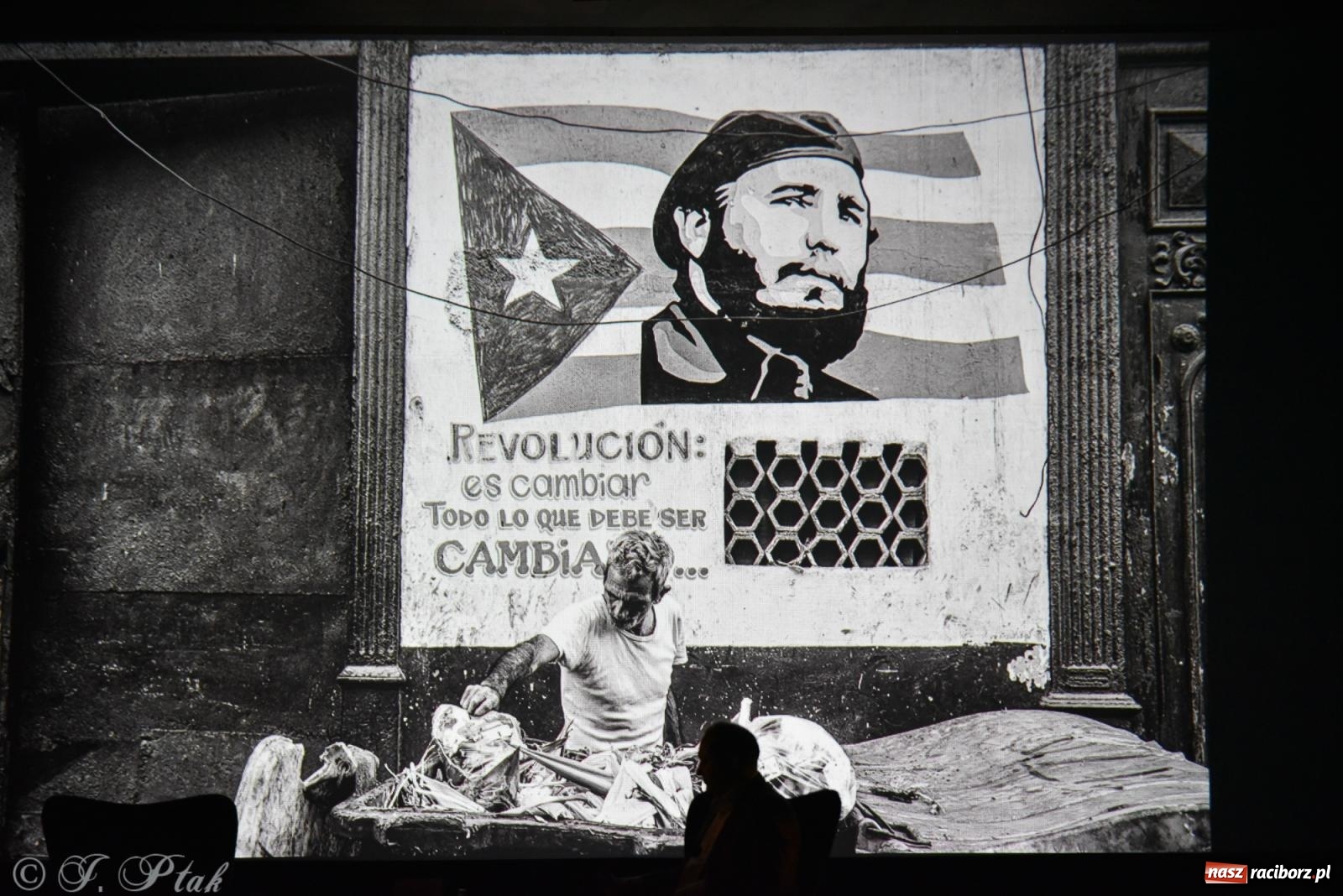 Zdjęcie w galerii na portalu naszraciborz.pl: Lodowi jeźdźcy i kubańskie rytmy. Rybicki i Kydryński na finał Wiatraków wiadomości z regionu