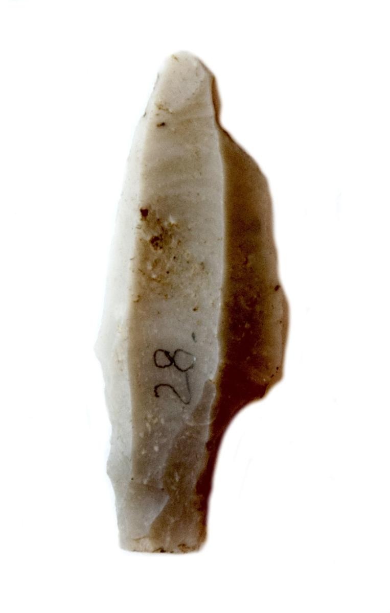 Zdjęcie w galerii na portalu naszraciborz.pl: Spotkanie z zabytkami. Cywilizacja krzemienia wiadomości z regionu