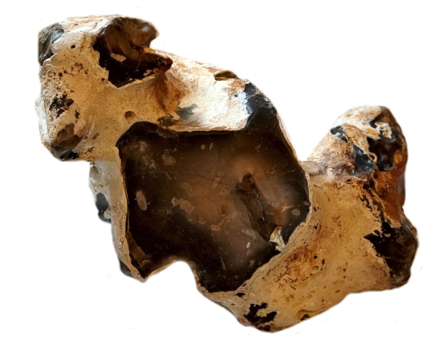 Zdjęcie w galerii na portalu naszraciborz.pl: Spotkanie z zabytkami. Cywilizacja krzemienia wiadomości z regionu