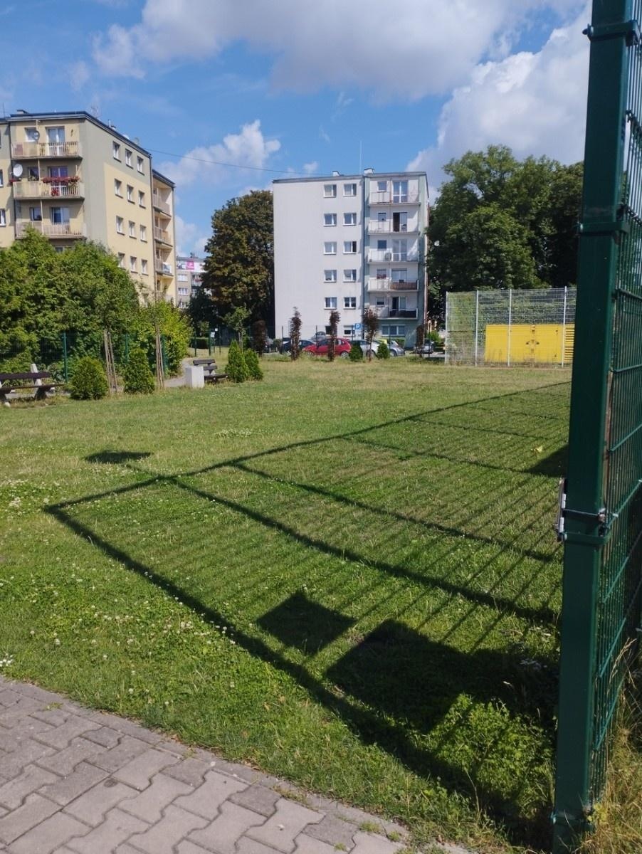 Zdjęcie w galerii na portalu naszraciborz.pl: W śródmieściu powstaje ogród deszczowy wiadomości z regionu