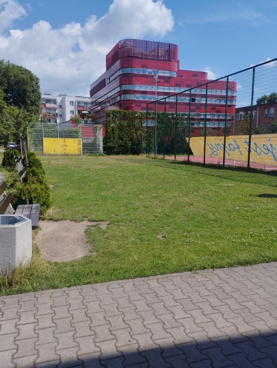 Zdjęcie w galerii na portalu naszraciborz.pl: W śródmieściu powstaje ogród deszczowy wiadomości z regionu