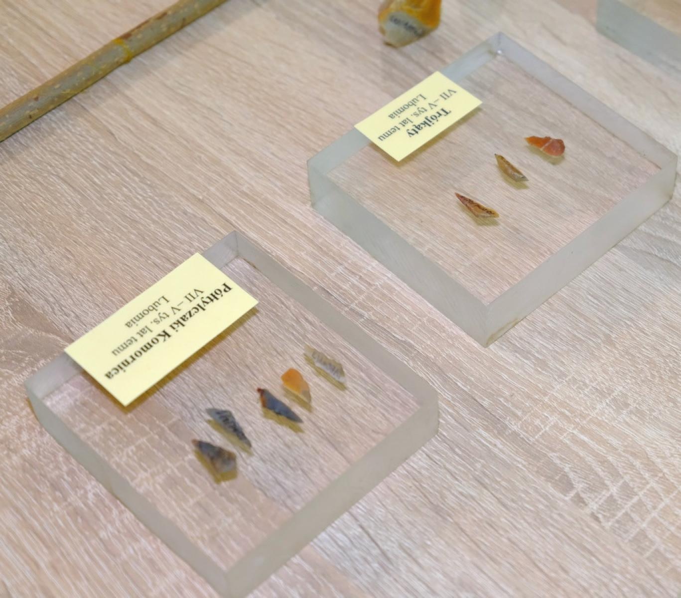 Zdjęcie w galerii na portalu naszraciborz.pl: Czy wiecie co to jest jaskółczy chlebek? wiadomości z regionu