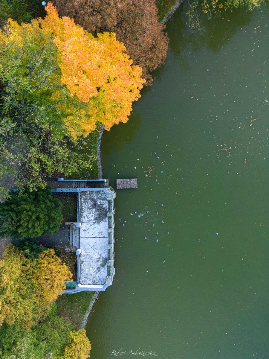 Zdjęcie w galerii na portalu naszraciborz.pl: Racibórz przed zmianą czasu. Zdjęcia lotnicze wiadomości z regionu