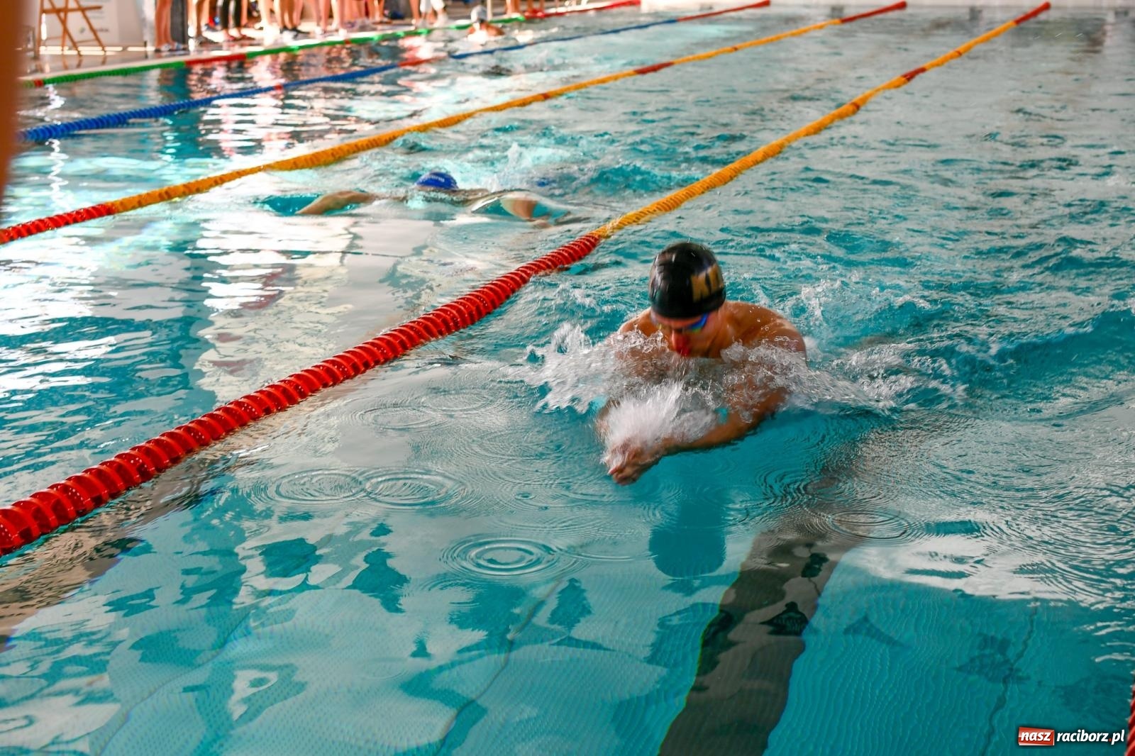 Zdjęcie w galerii na portalu naszraciborz.pl: Pływacka rywalizacja w sprincie w ZSOMS [FOTO i WIDEO] wiadomości z regionu