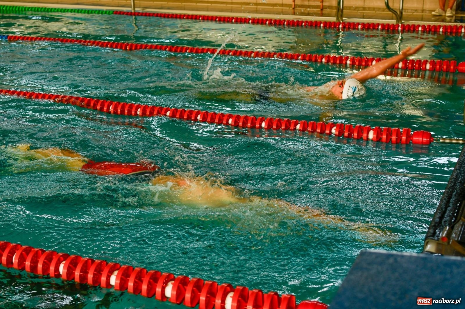 Zdjęcie w galerii na portalu naszraciborz.pl: Pływacka rywalizacja w sprincie w ZSOMS [FOTO i WIDEO] wiadomości z regionu