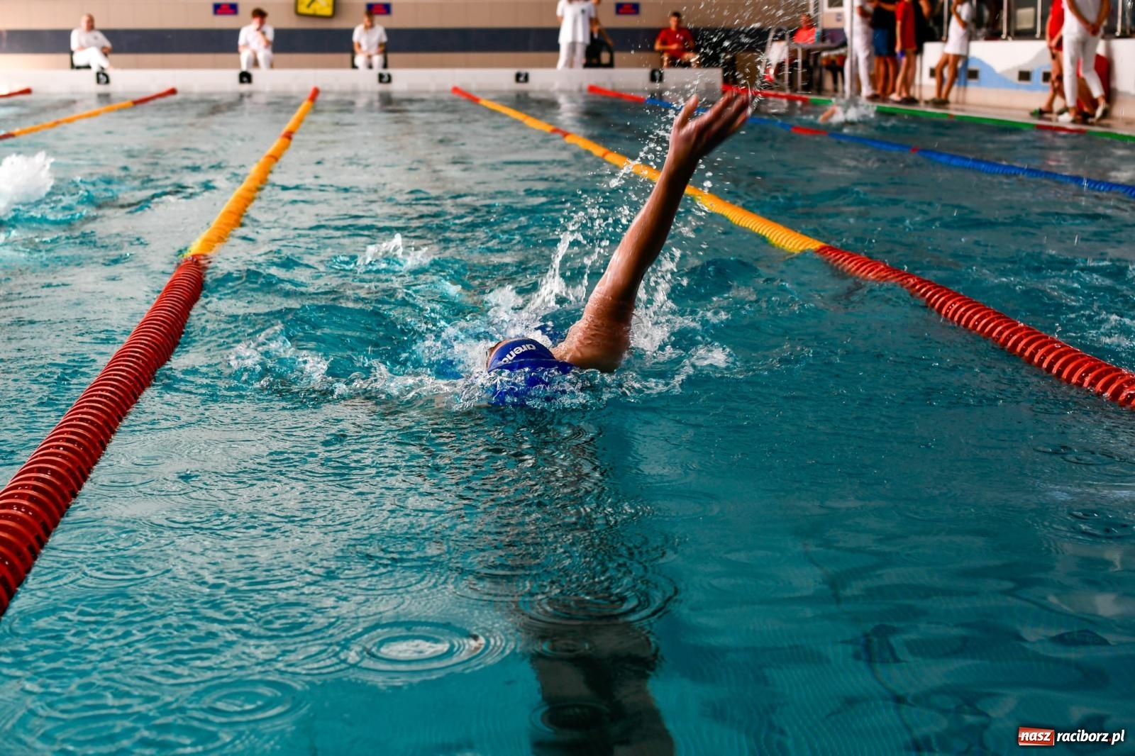 Zdjęcie w galerii na portalu naszraciborz.pl: Pływacka rywalizacja w sprincie w ZSOMS [FOTO i WIDEO] wiadomości z regionu