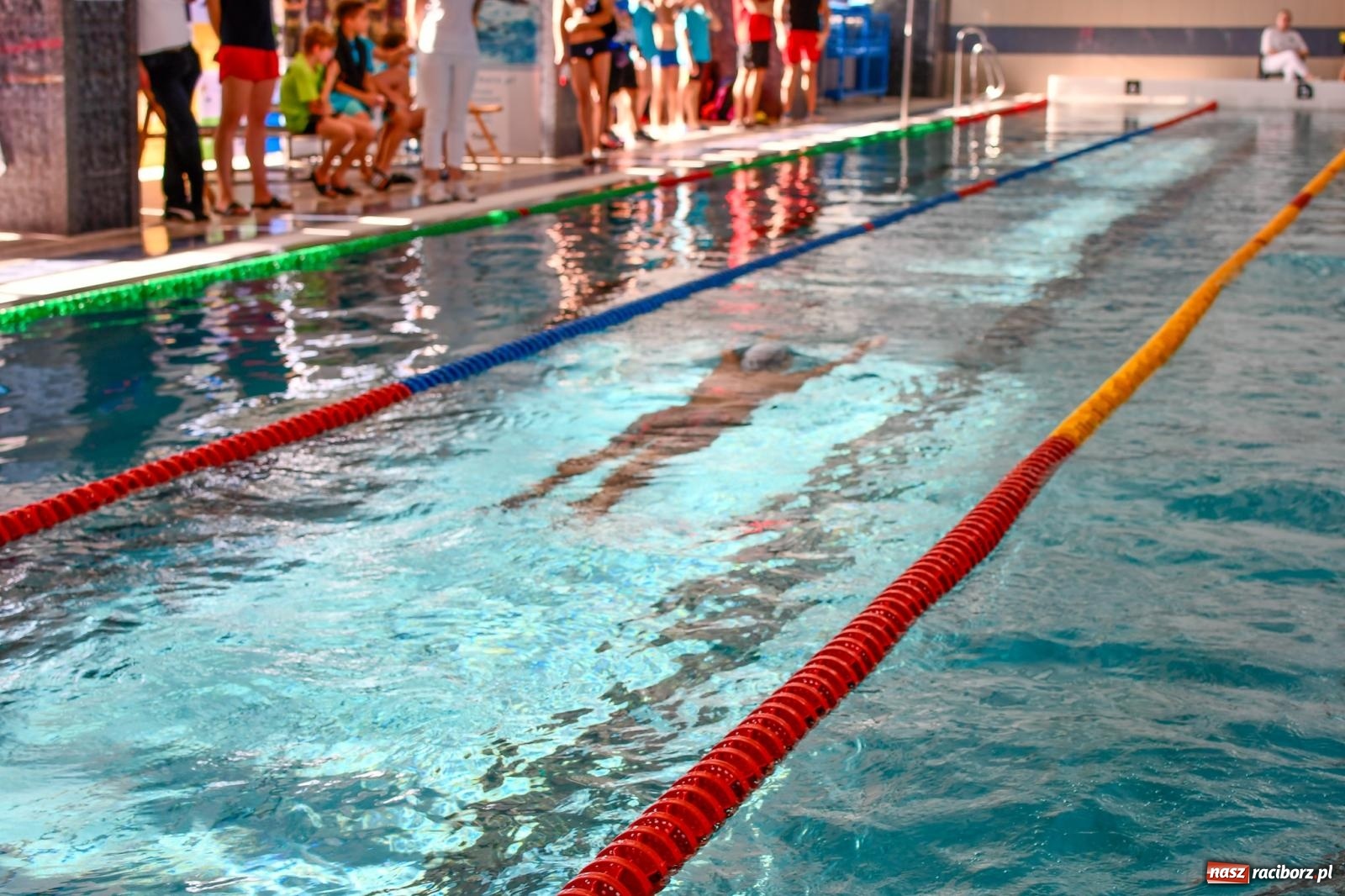 Zdjęcie w galerii na portalu naszraciborz.pl: Pływacka rywalizacja w sprincie w ZSOMS [FOTO i WIDEO] wiadomości z regionu
