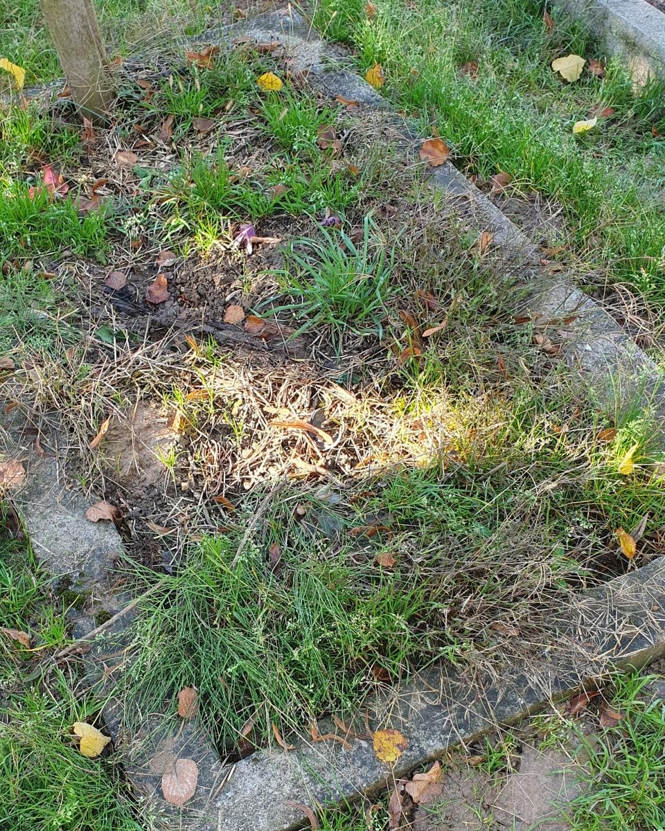 Zdjęcie w galerii na portalu naszraciborz.pl: Ludzie Hołowni robią w Raciborzu porządek wiadomości z regionu