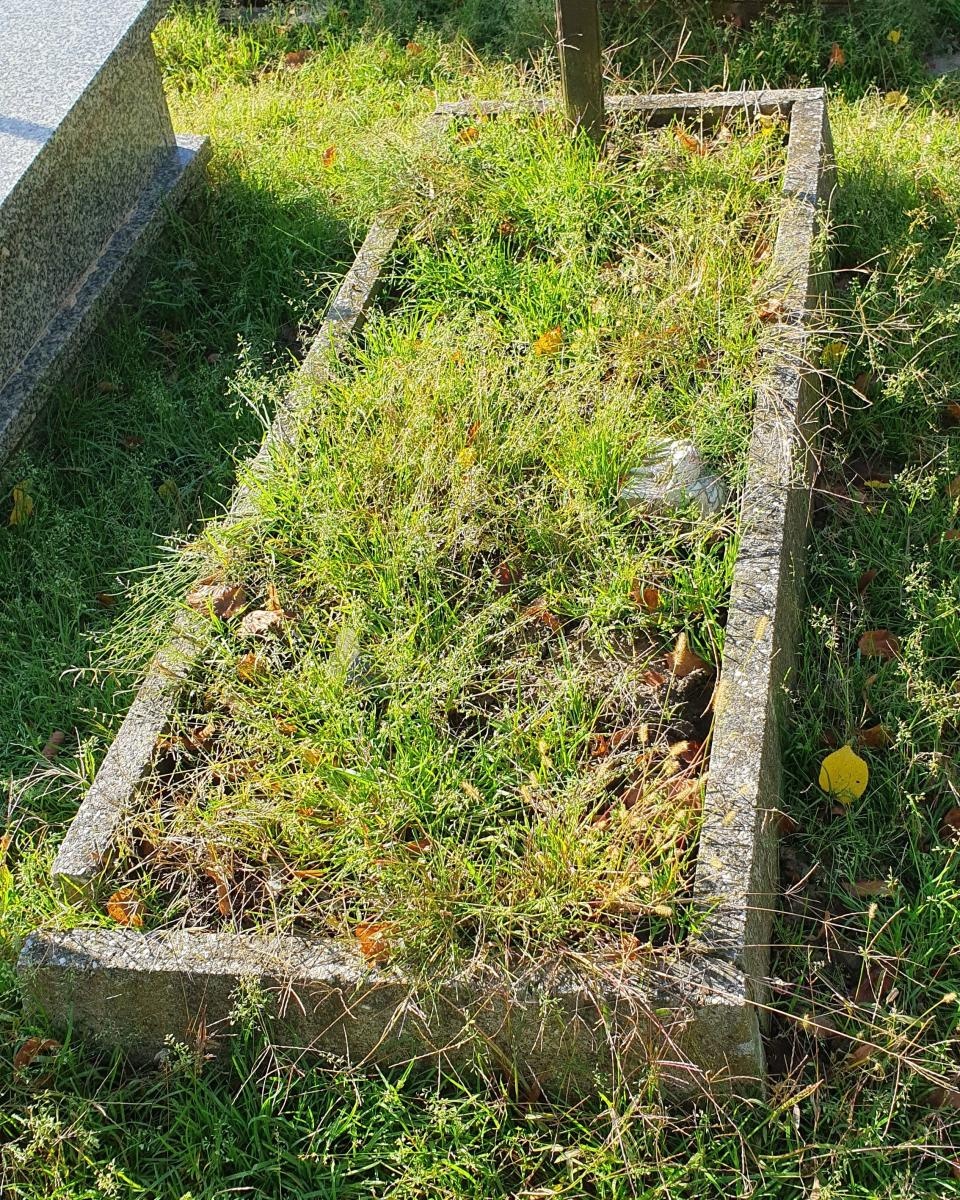 Zdjęcie w galerii na portalu naszraciborz.pl: Ludzie Hołowni robią w Raciborzu porządek wiadomości z regionu