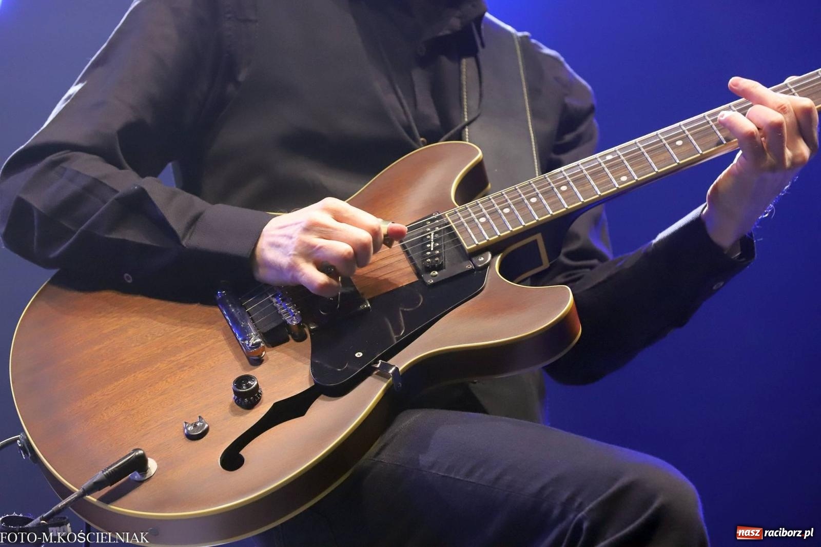 Zdjęcie w galerii na portalu naszraciborz.pl: 41. Festiwal Rawa Blues w katowickim Spodku wiadomości z regionu