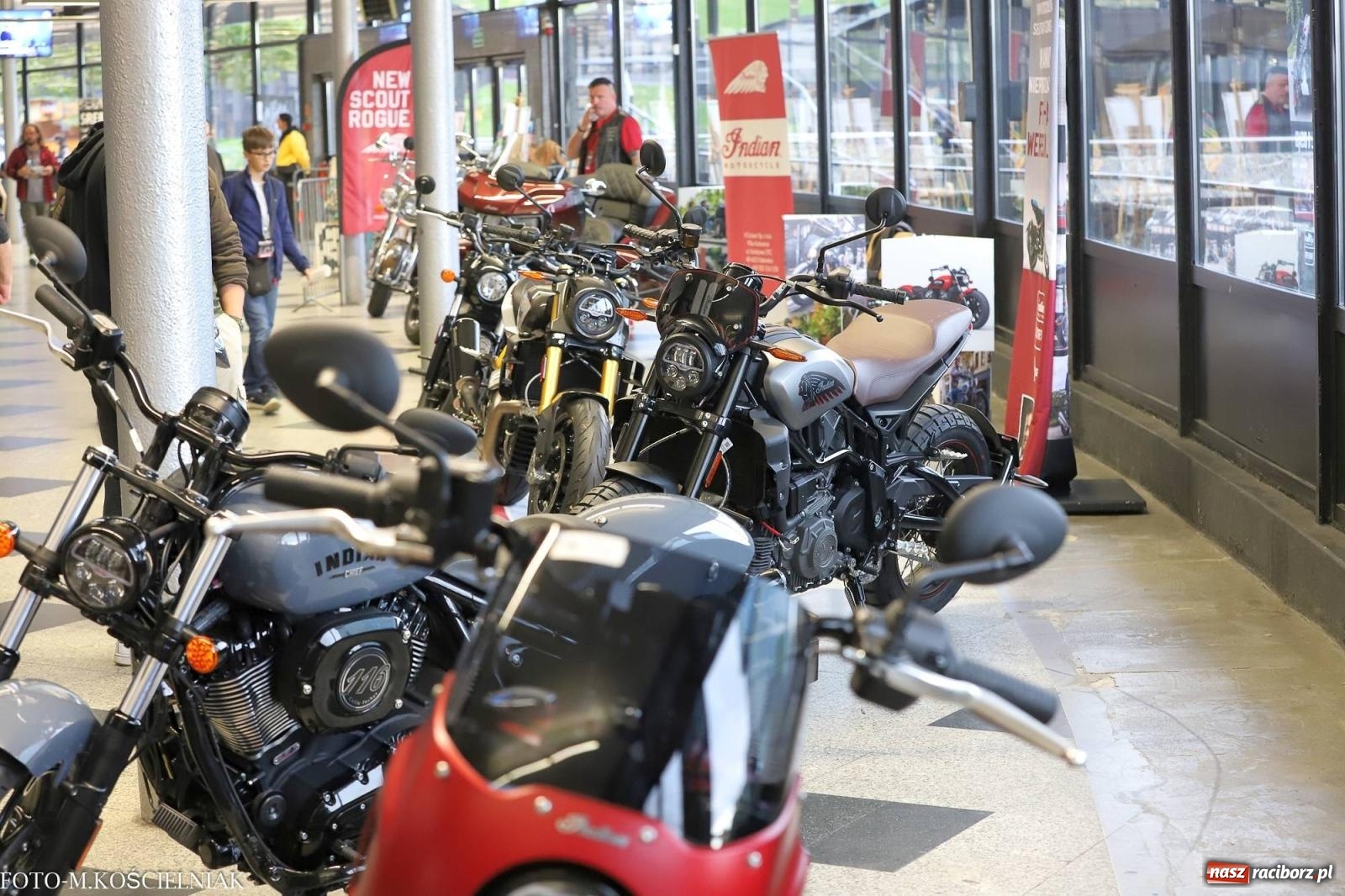 Zdjęcie w galerii na portalu naszraciborz.pl: 41. Festiwal Rawa Blues w katowickim Spodku wiadomości z regionu